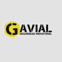 Gavial Seguridad Industrial y Vial