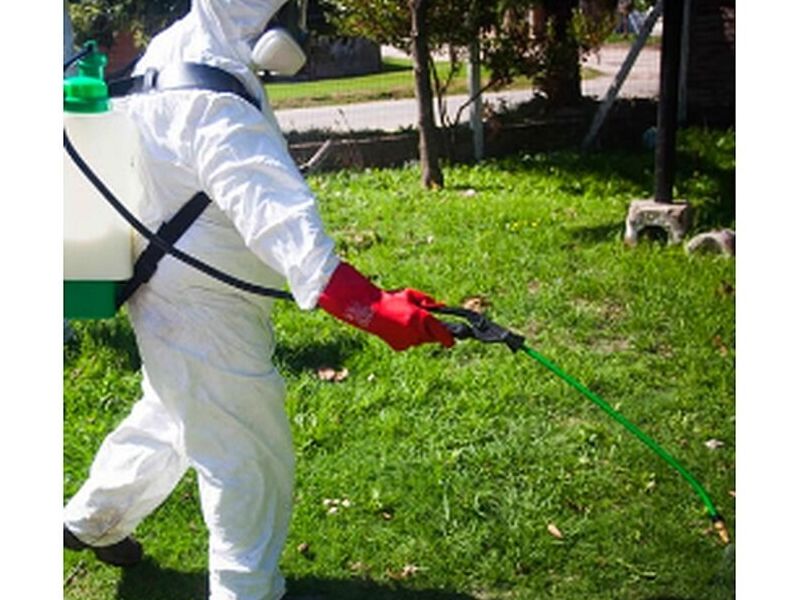 Fumigación Aguascalientes