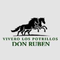 Vivero Los Potrillos de Don Ruben