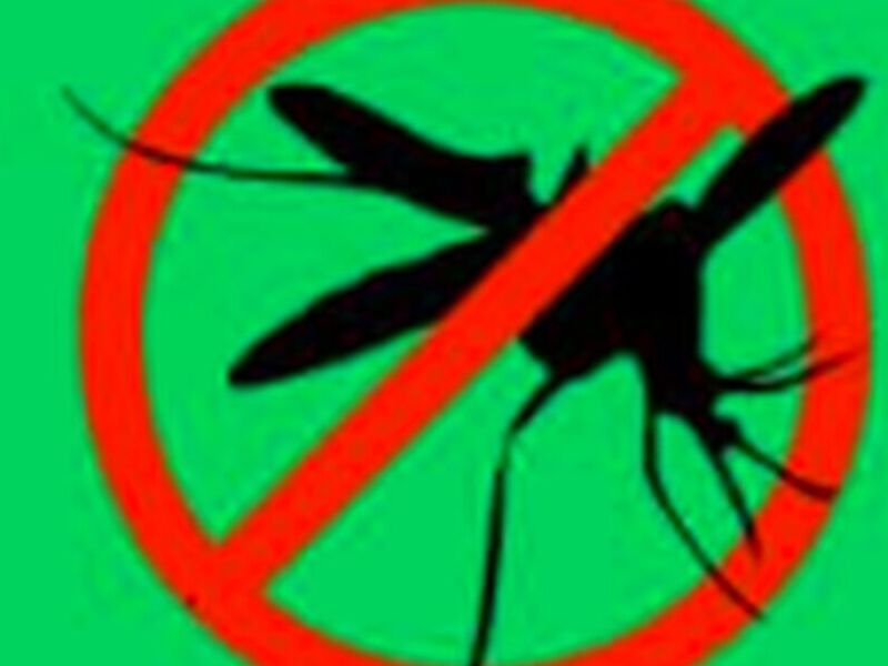Fumigación de Mosquitos México