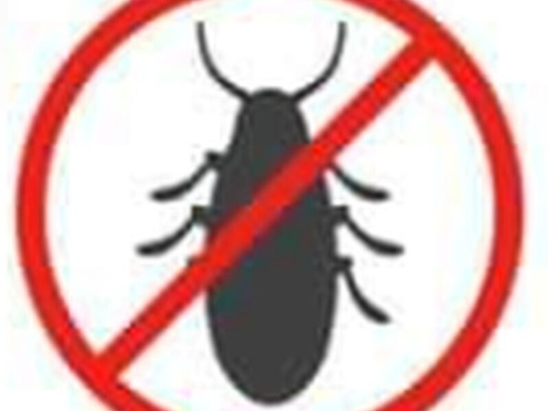 Control de Cucarachas México
