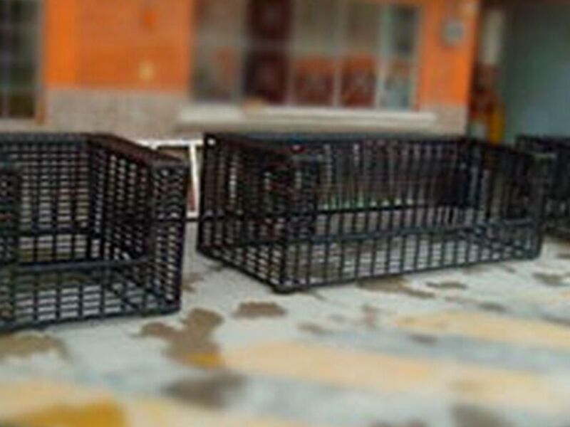 Juego de muebles topaz PVC México