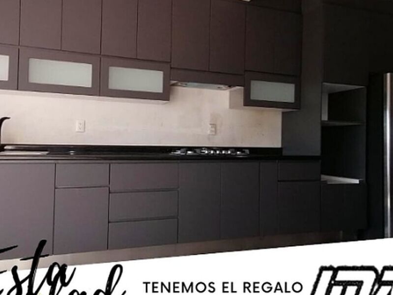Muebles madera negro 