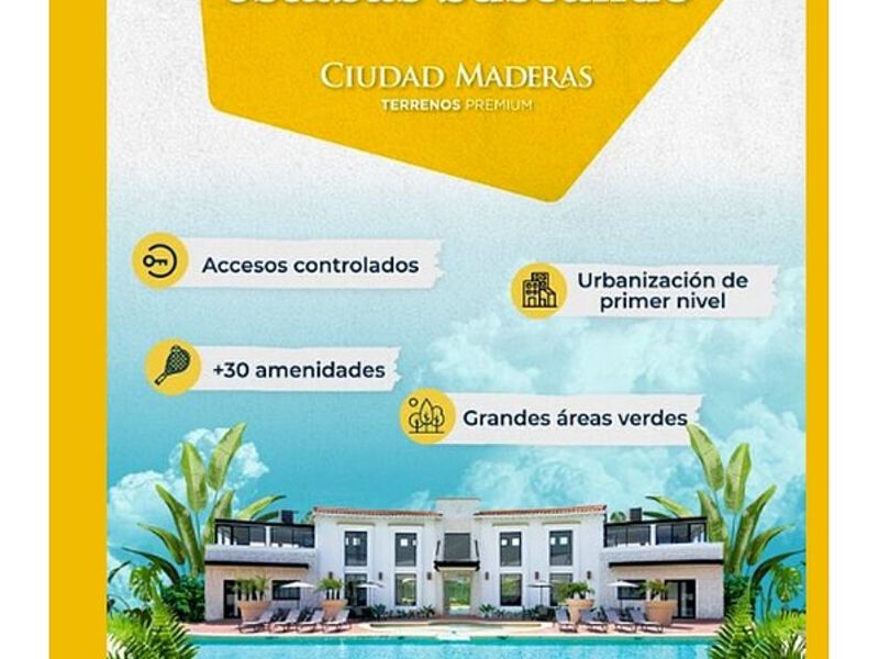 DESARROLLO DE INMUEBLES EN CIUDAD MADERAS