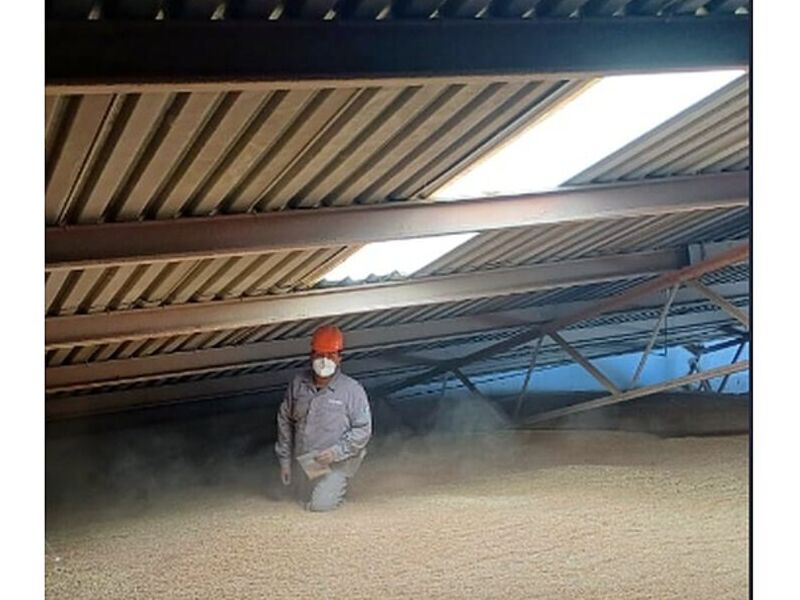 Fumigación de plagas México