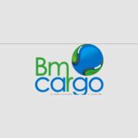 Dimo Cargo Logistics