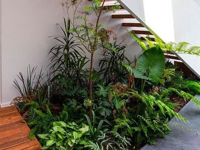 Diseño Interiores México