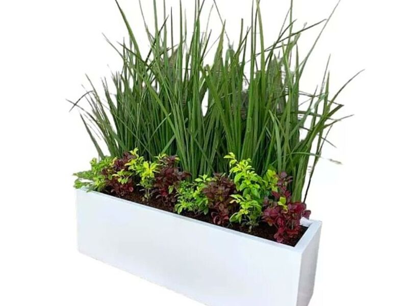 Jardinera rectangular México