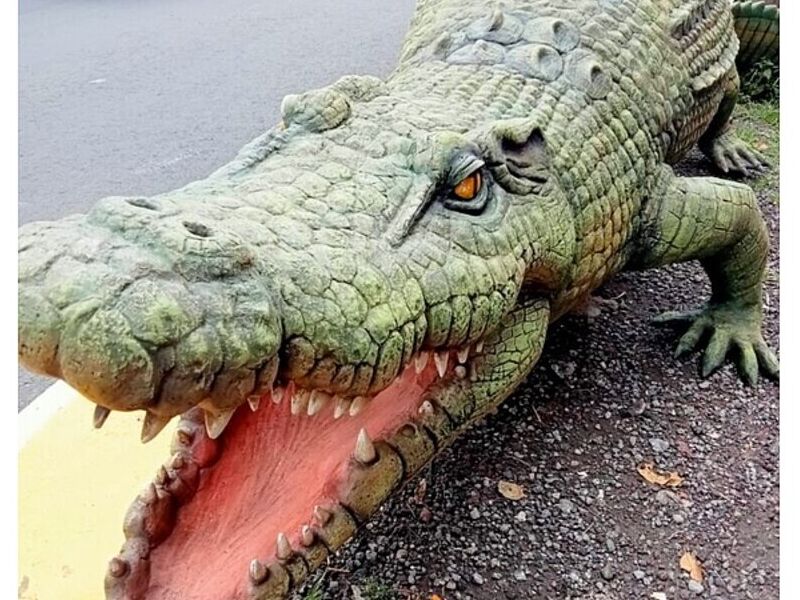 Figuras en fibra de vidrio Animales
