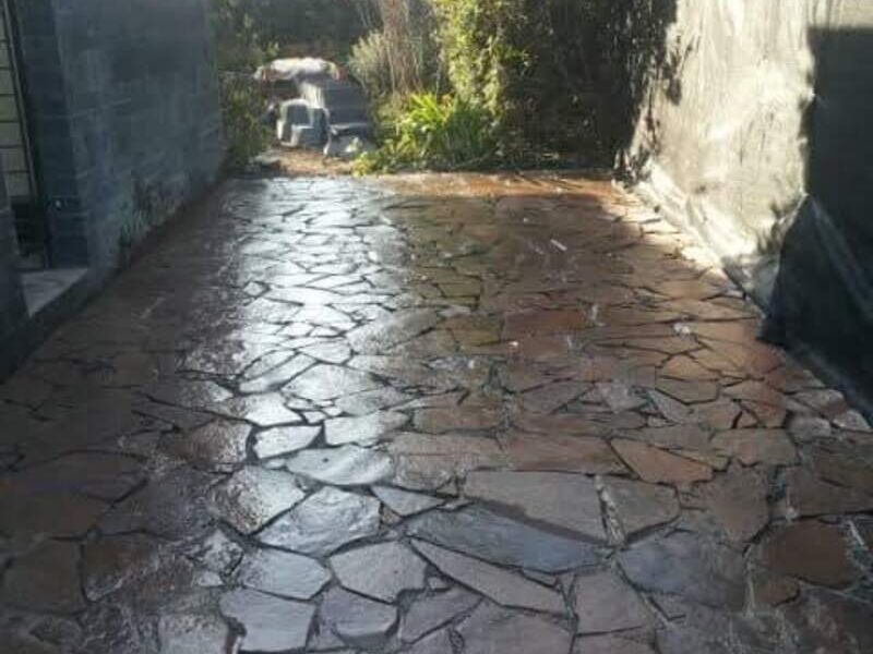 Laja 5
