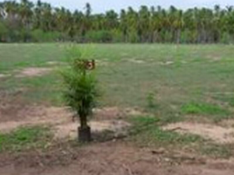 Terreno Venta Mexico