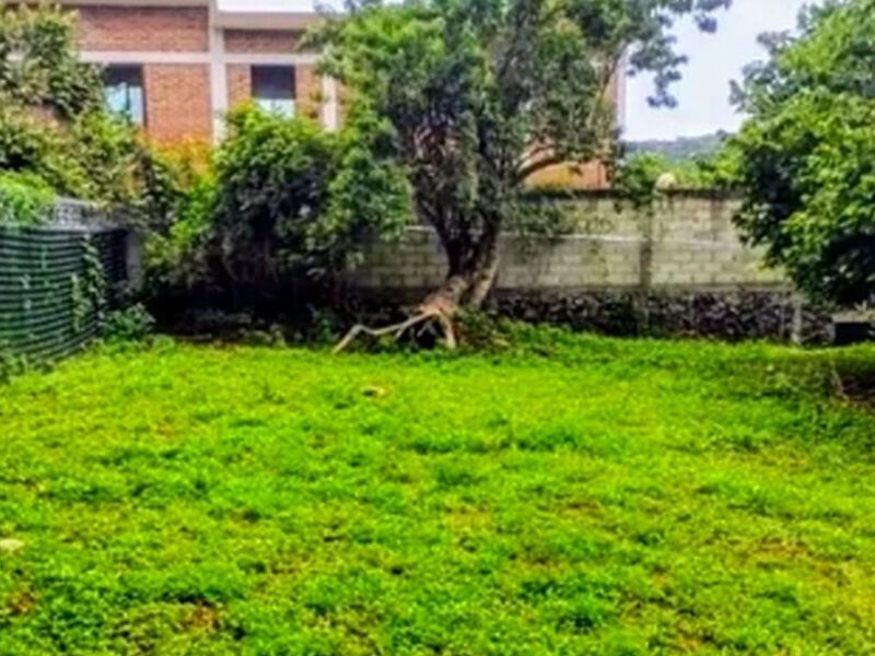 Venta Lotes Roble Acapulco  Mexico