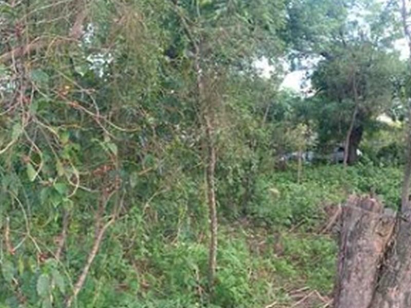 Lotes Venta Roble Acapulco  Mexico