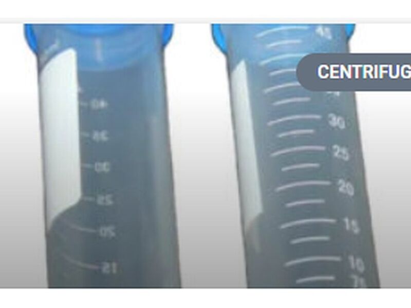 Tubo de centrífuga de 50ml (libre de enzimas)