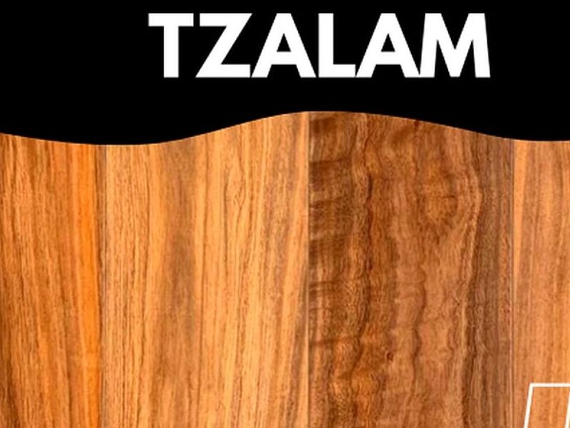 MADERA TZALAM MÉXICO