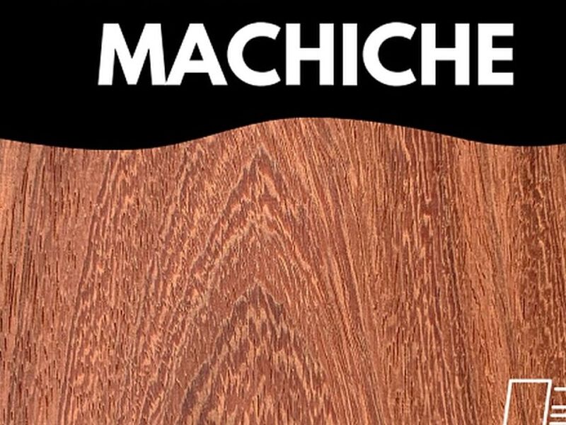 MADERA MACHICHE MÉXICO