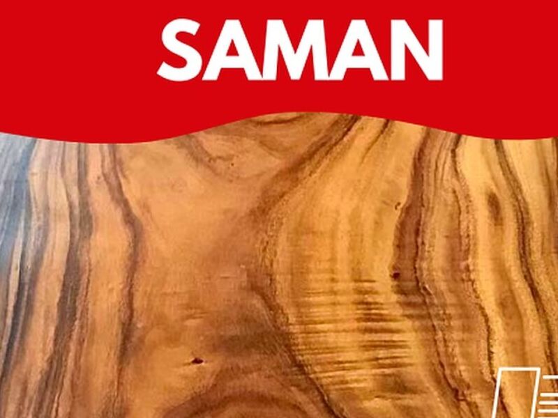 MADERA SAMAN MÉXICO