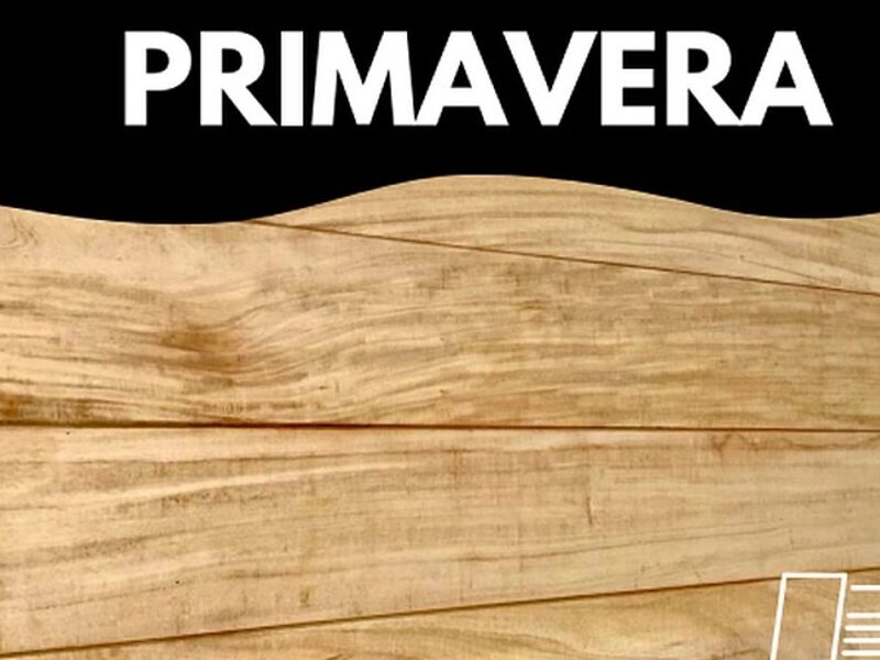 MADERA PRIMAVERA MÉXICO