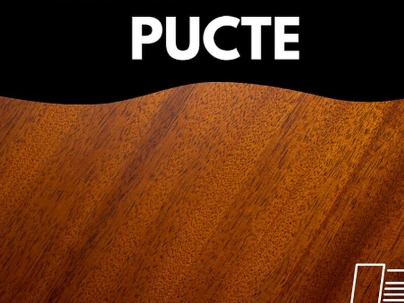 MADERA PUCTE MÉXICO
