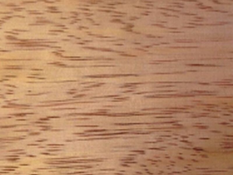 MADERA DE TORNILLO MÉXICO