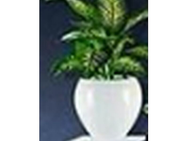 Macetero ceramica ovalado blanco México