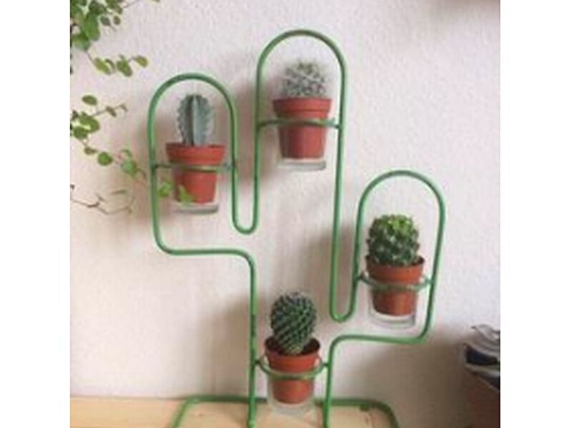Porta macetero cactus México