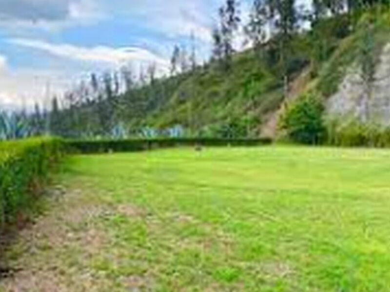 Inmobiliaria Terreno Venta  Mexico