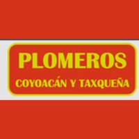 PLOMEROS COYOACÁN Y TAXQUEÑA