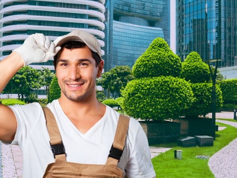 Jardinería para empresas México Sinaloa