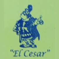 EL CESAR DE LA ELECTRONICA SA DE CV