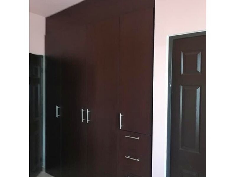 Closet color Wenge México