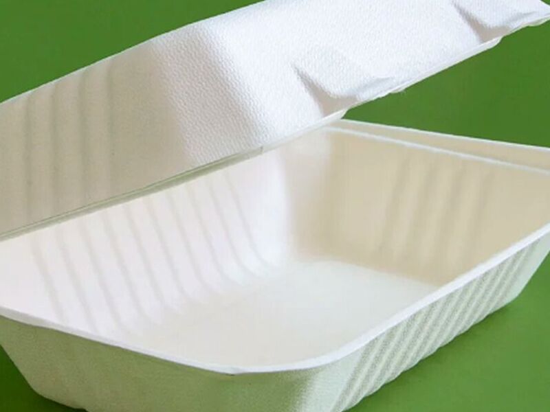 Contenedor rectangular 9" x 6" méxico