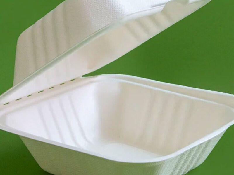 Contenedor hamburguesero 6" x 6" méxico