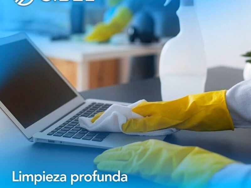 Limpieza Profunda México