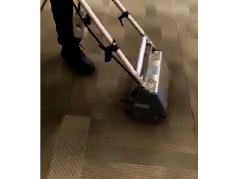 Limpieza de Alfombras Empresas México