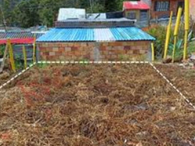 VENTA LOTE DORADO MÉXICO