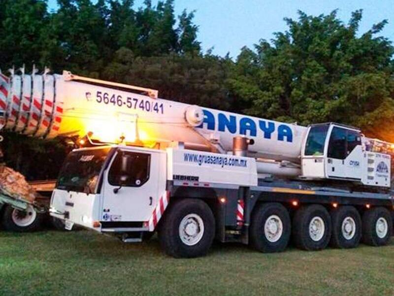 Grúa LIEBHERR LTM1220 5.1 México