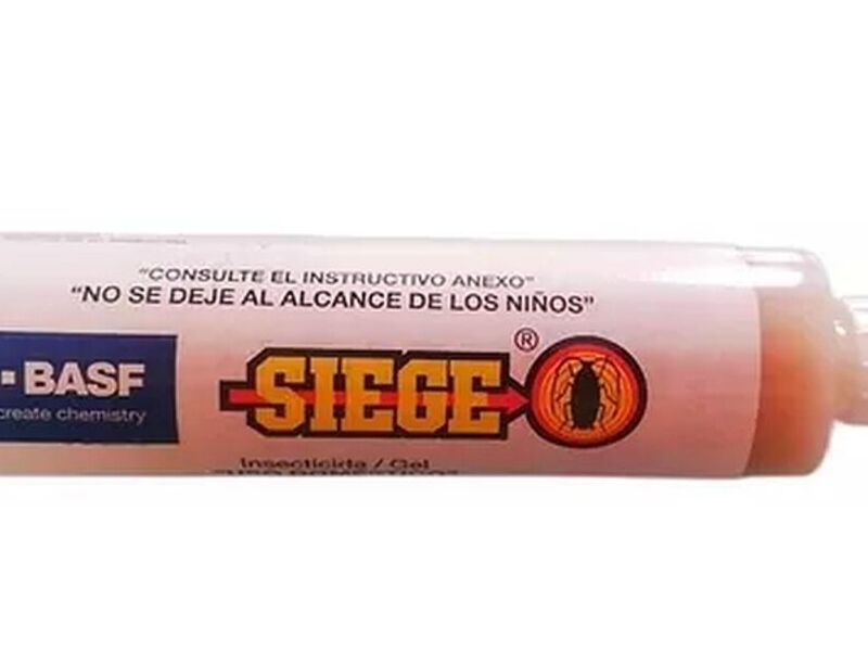 Siege pro México