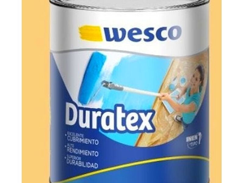 pintura desierto México