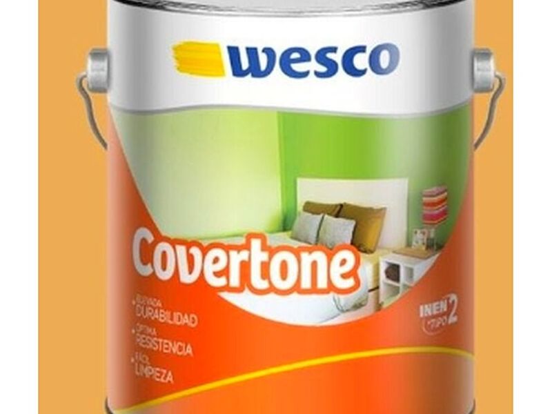 pintura mango México