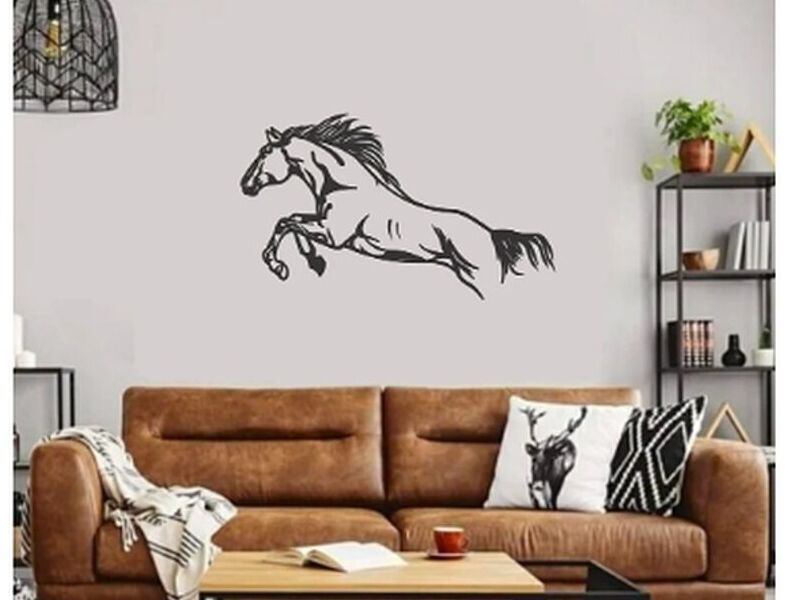 Cuadro Decorativo Caballo CDMX