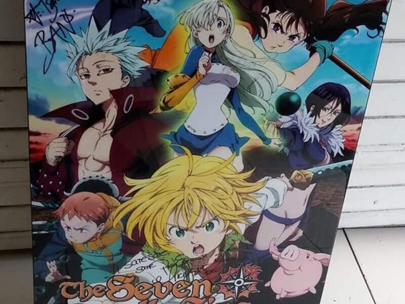 Cuadro Nanatsu no Taizai Veracruz
