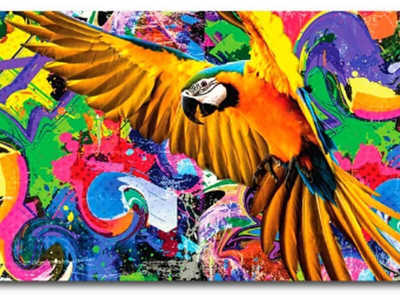 cuadro guacamaya Veracruz