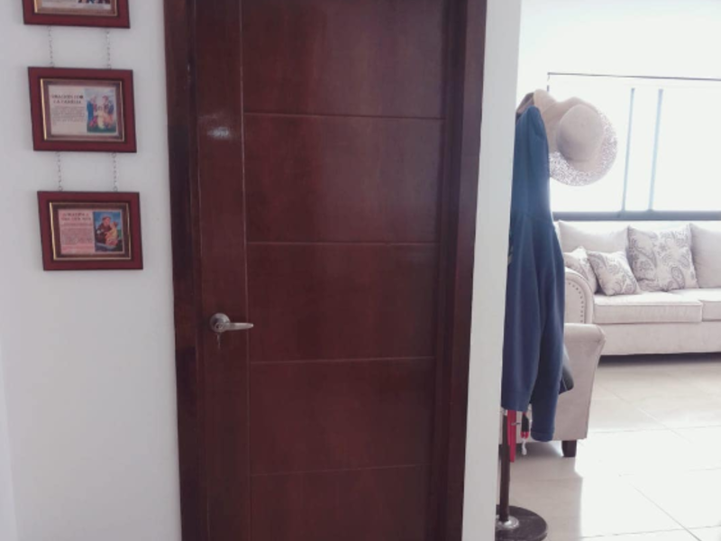 Puerta Diseño Rectangulos Durango