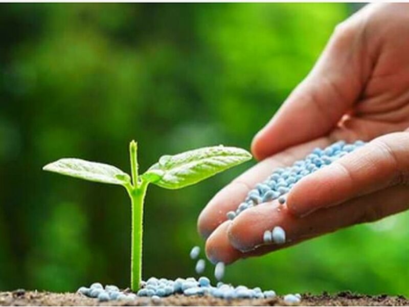 FERTILIZANTE PARA JARDÍN MEXICO