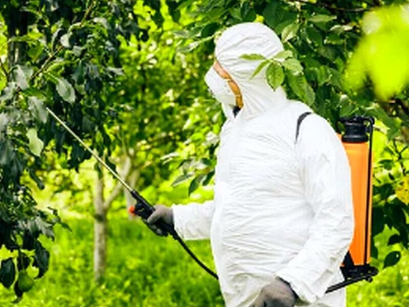 Fumigación de Moscas México