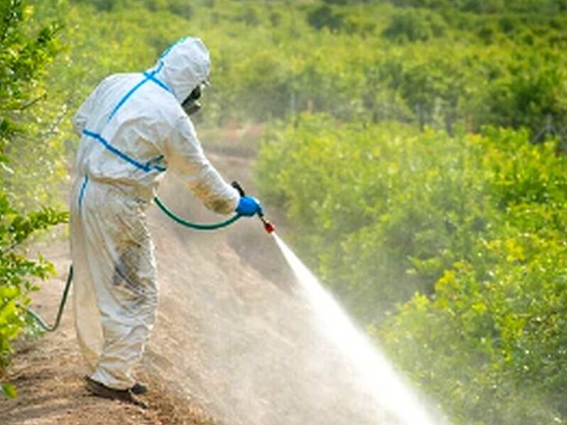 Fumigación de plagas México