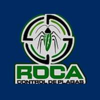 Plagas Roca