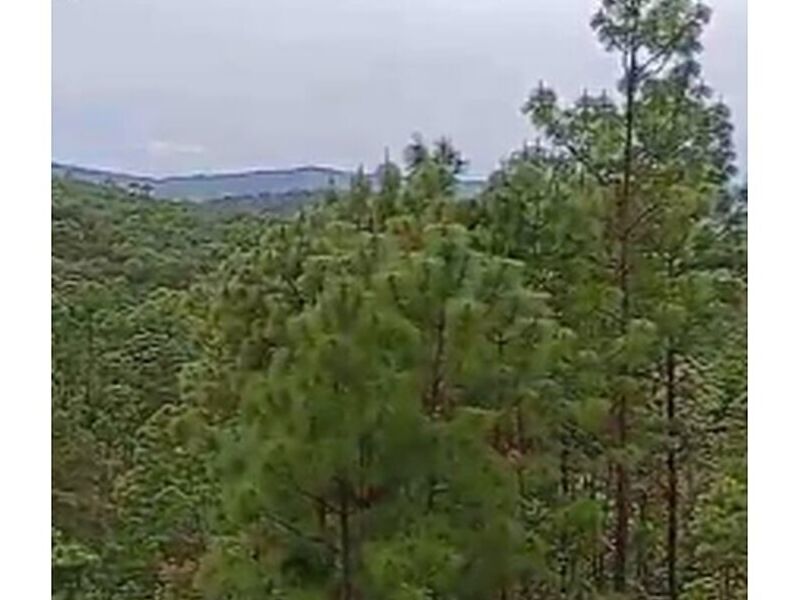 Inmobiliaria Sierra Del Tigre Mexico