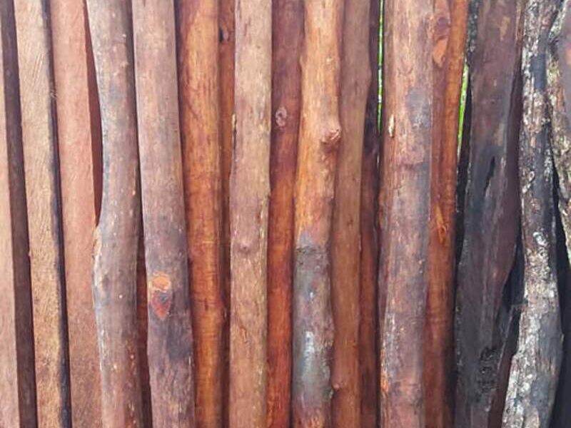 Madera Nativa México